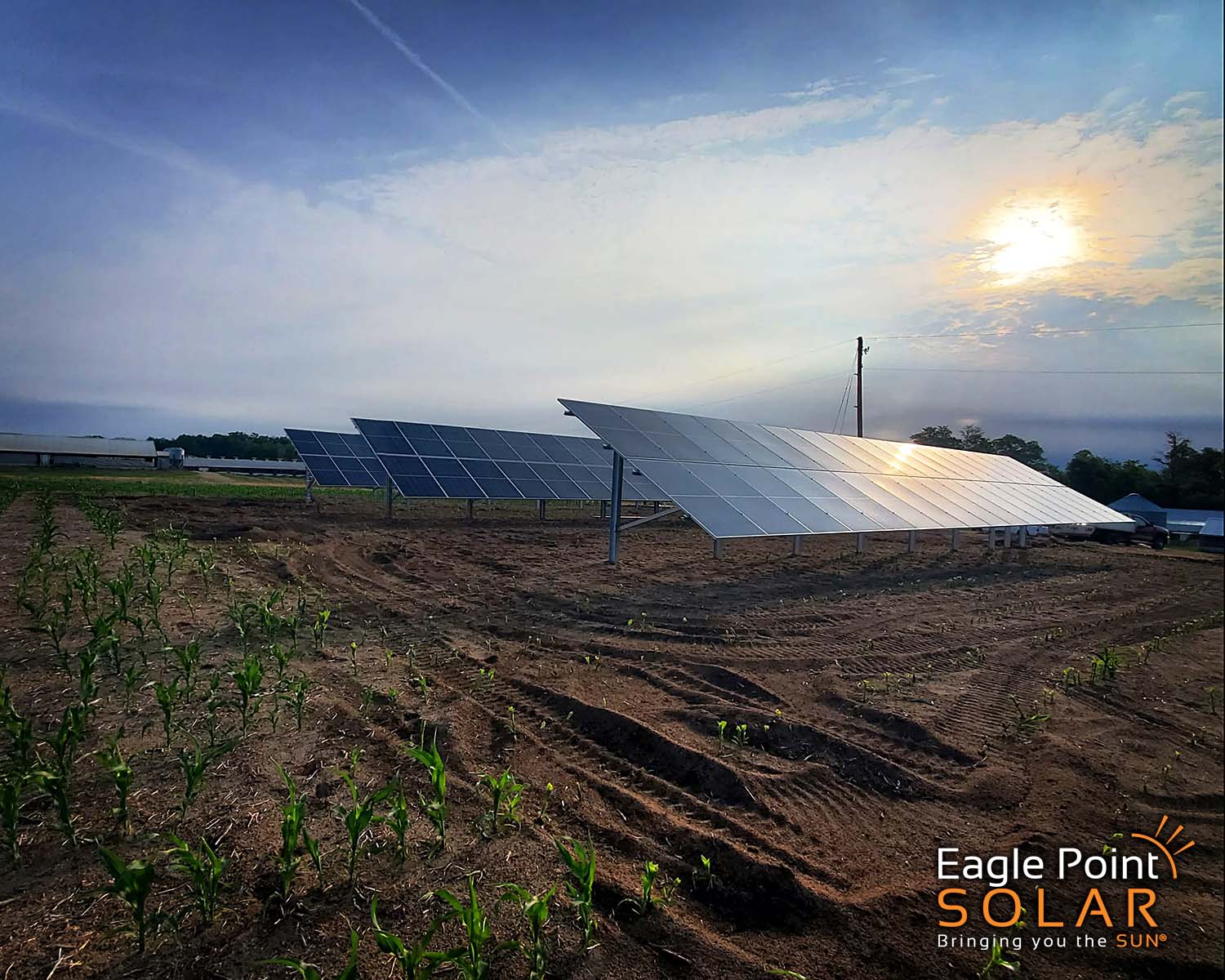 Solar array installed at Hansen Brad Agriculture.